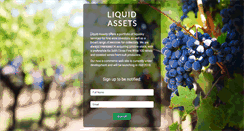 Desktop Screenshot of liquidassets.com